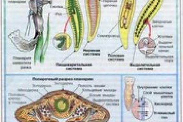 Как зарегистрироваться в кракен в россии